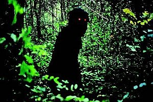 boonmee-3