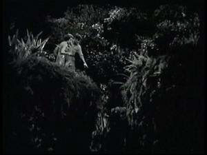 blog-zaroff-1.jpg